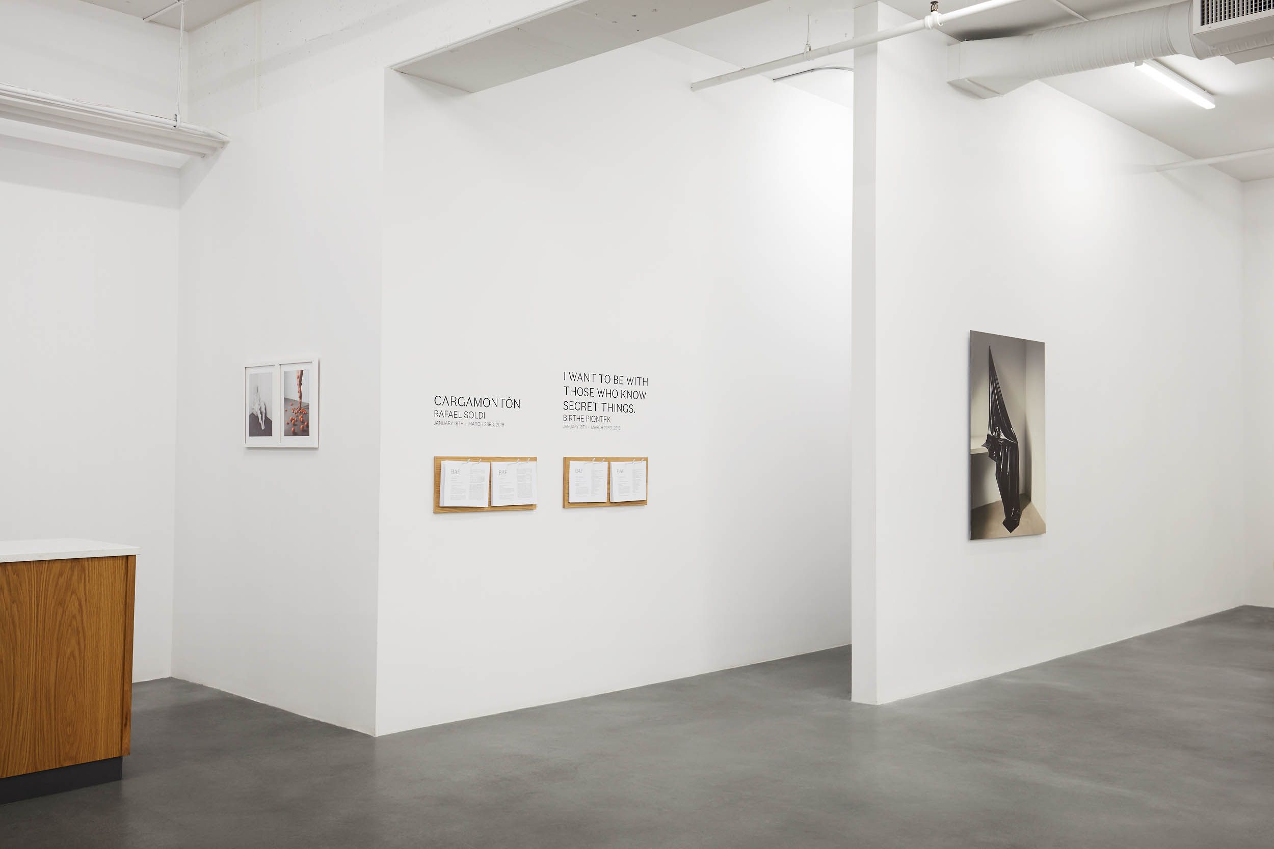 Gallery entry