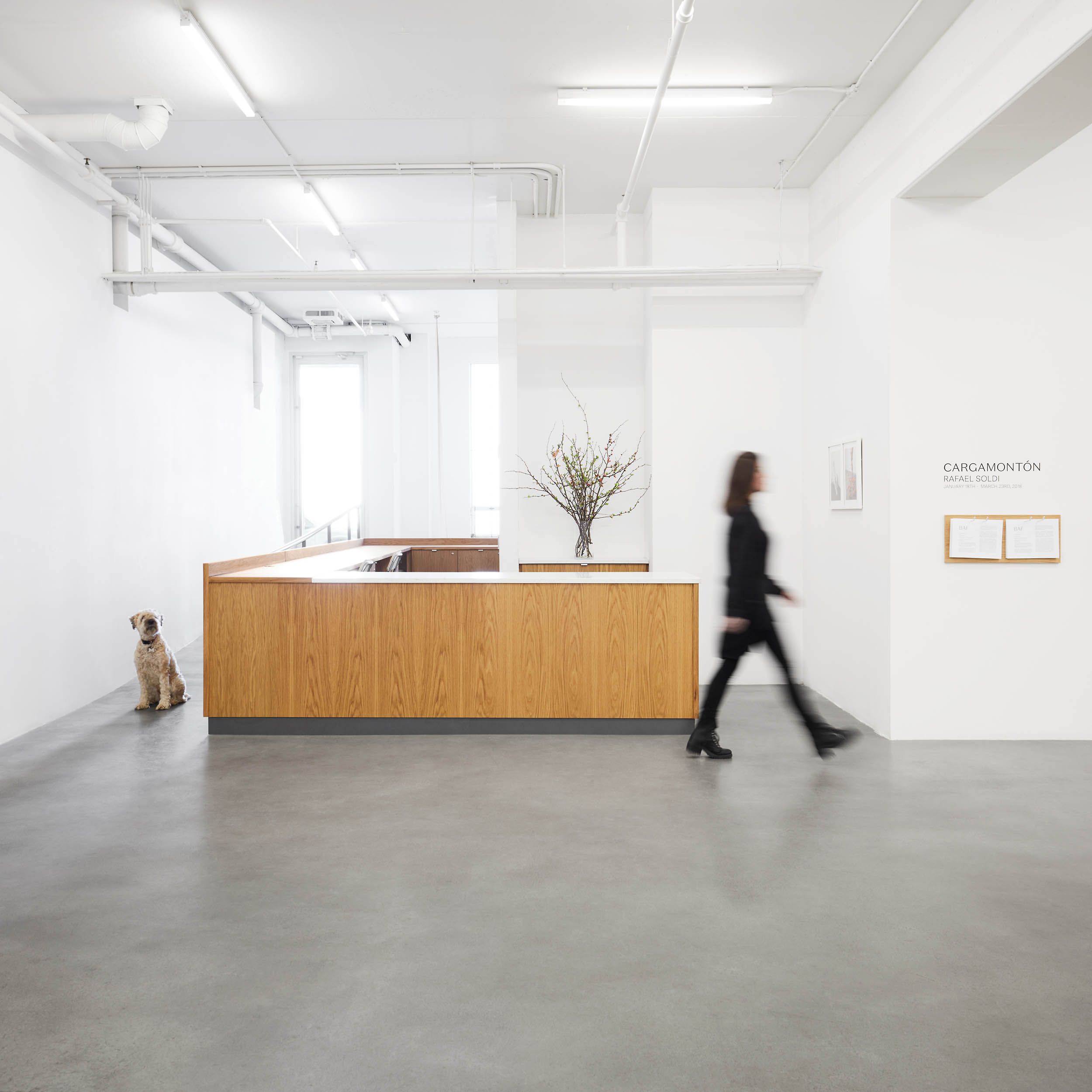 Garage exhibition