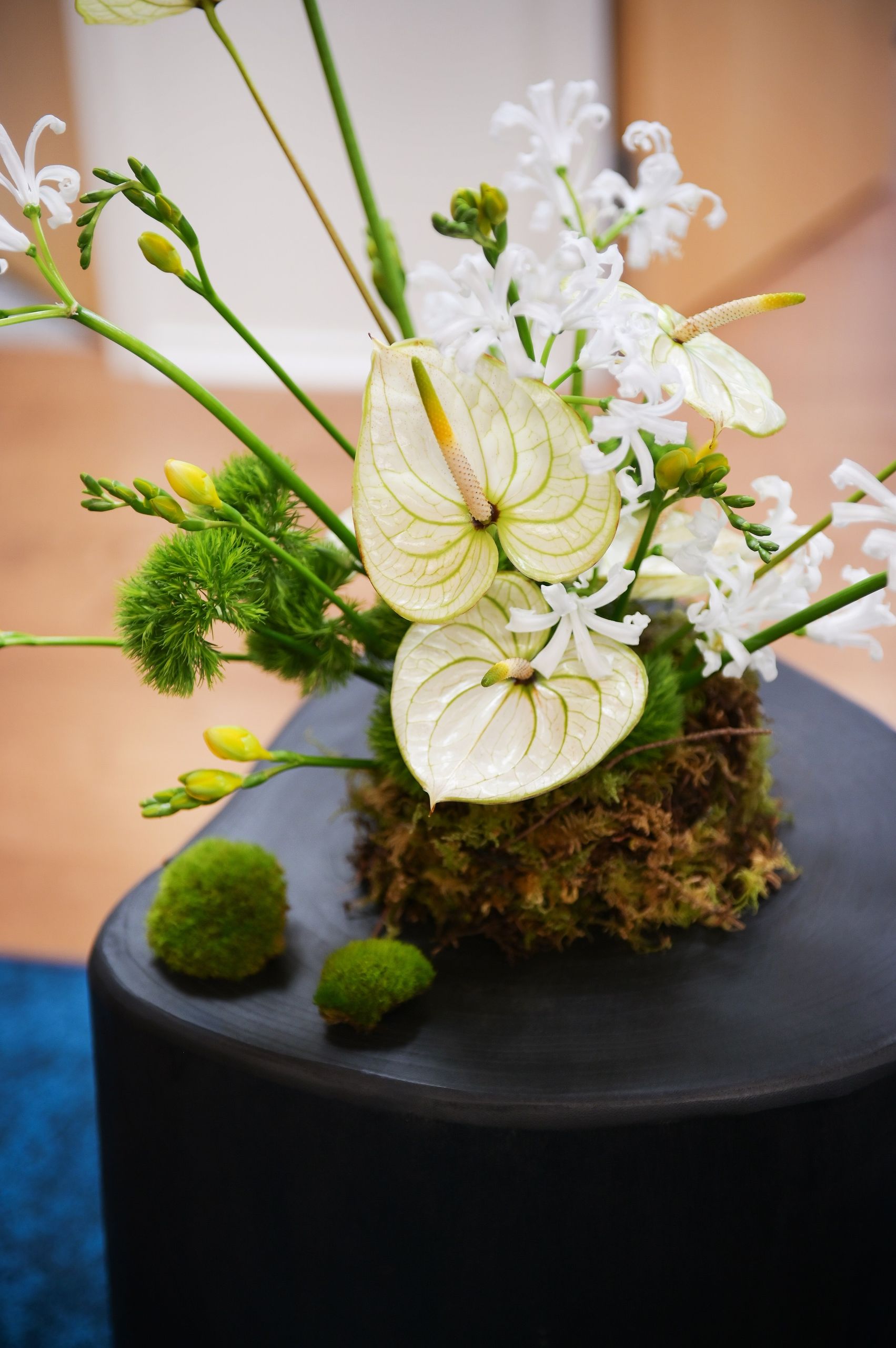 Floral arrangement of white anthurium and nerine set into moss on a blackened stump table