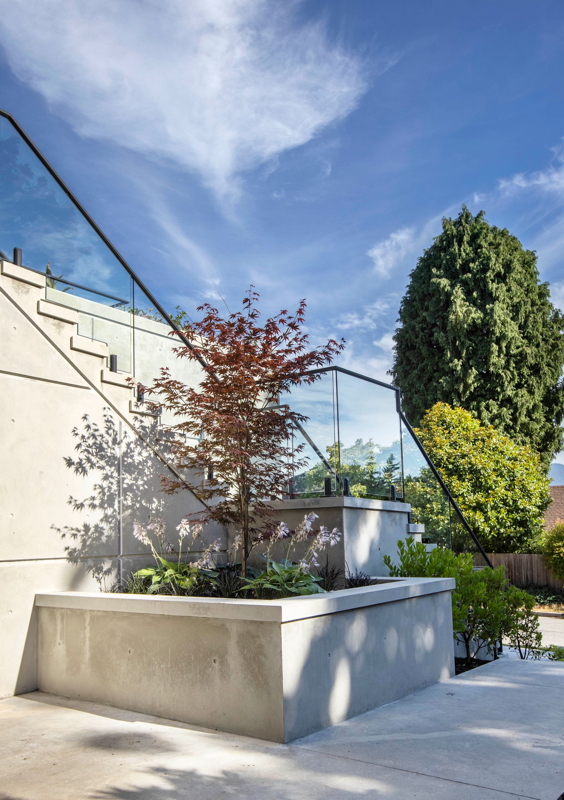 Concrete planter holding a young Japanese maple beneath the entry stair