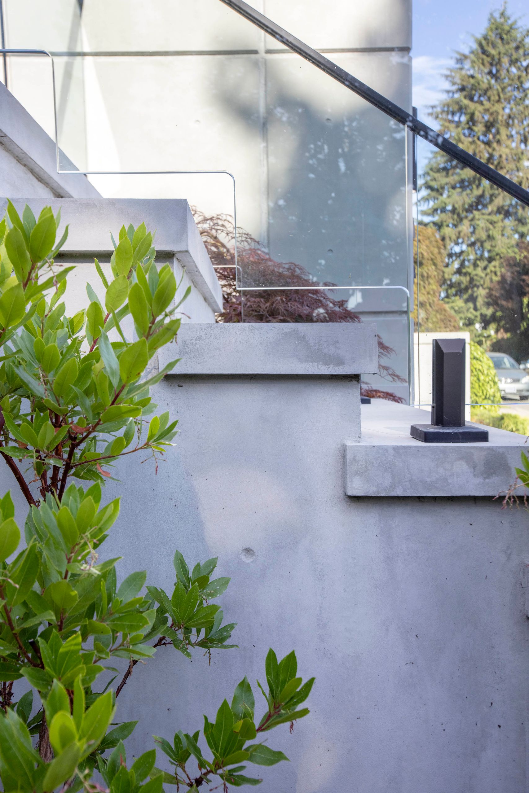 Concrete treads and glass balustrade seen through bay laurel foliage
