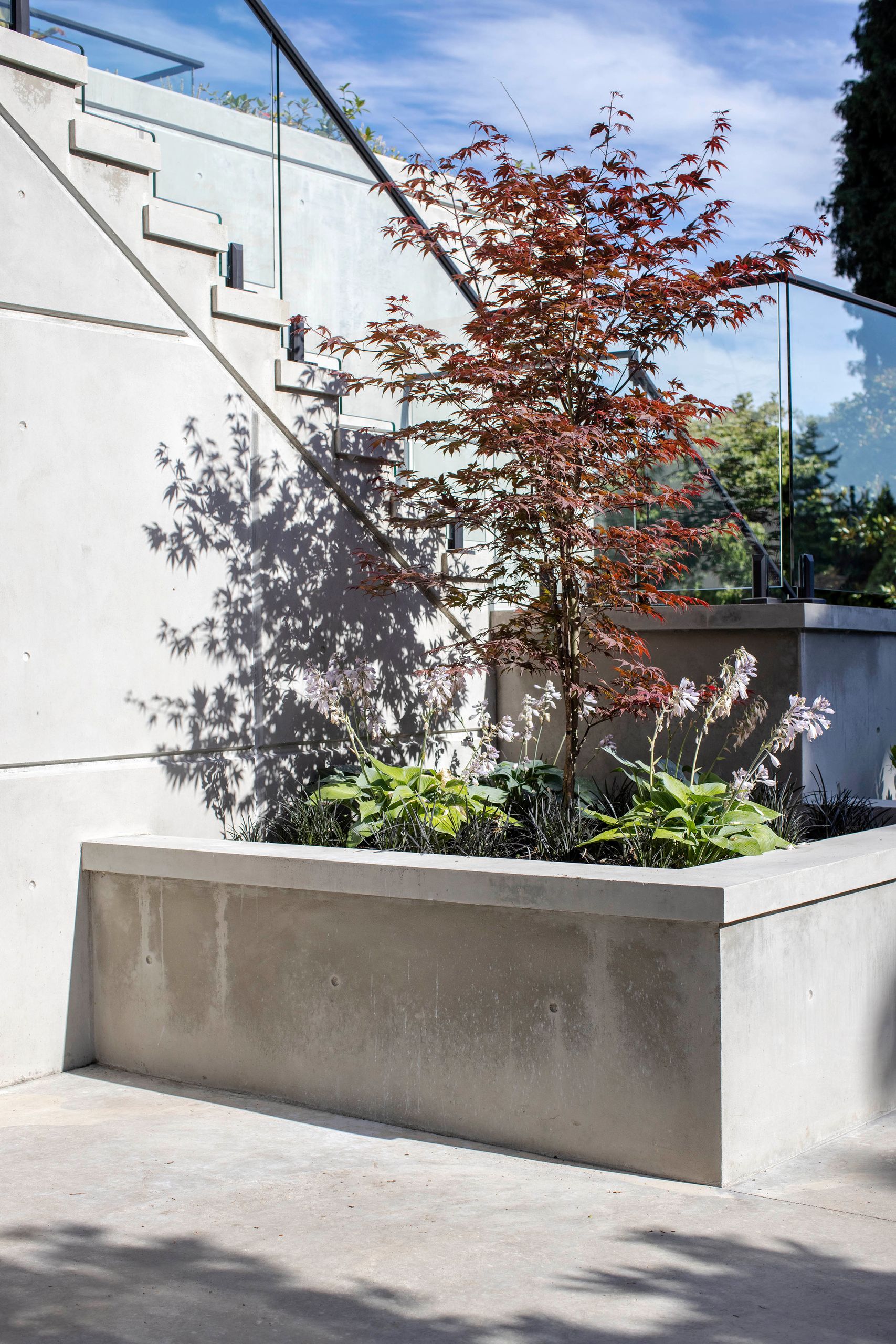 Planter of hostas and mondo grass around the maple at the foot of the stair