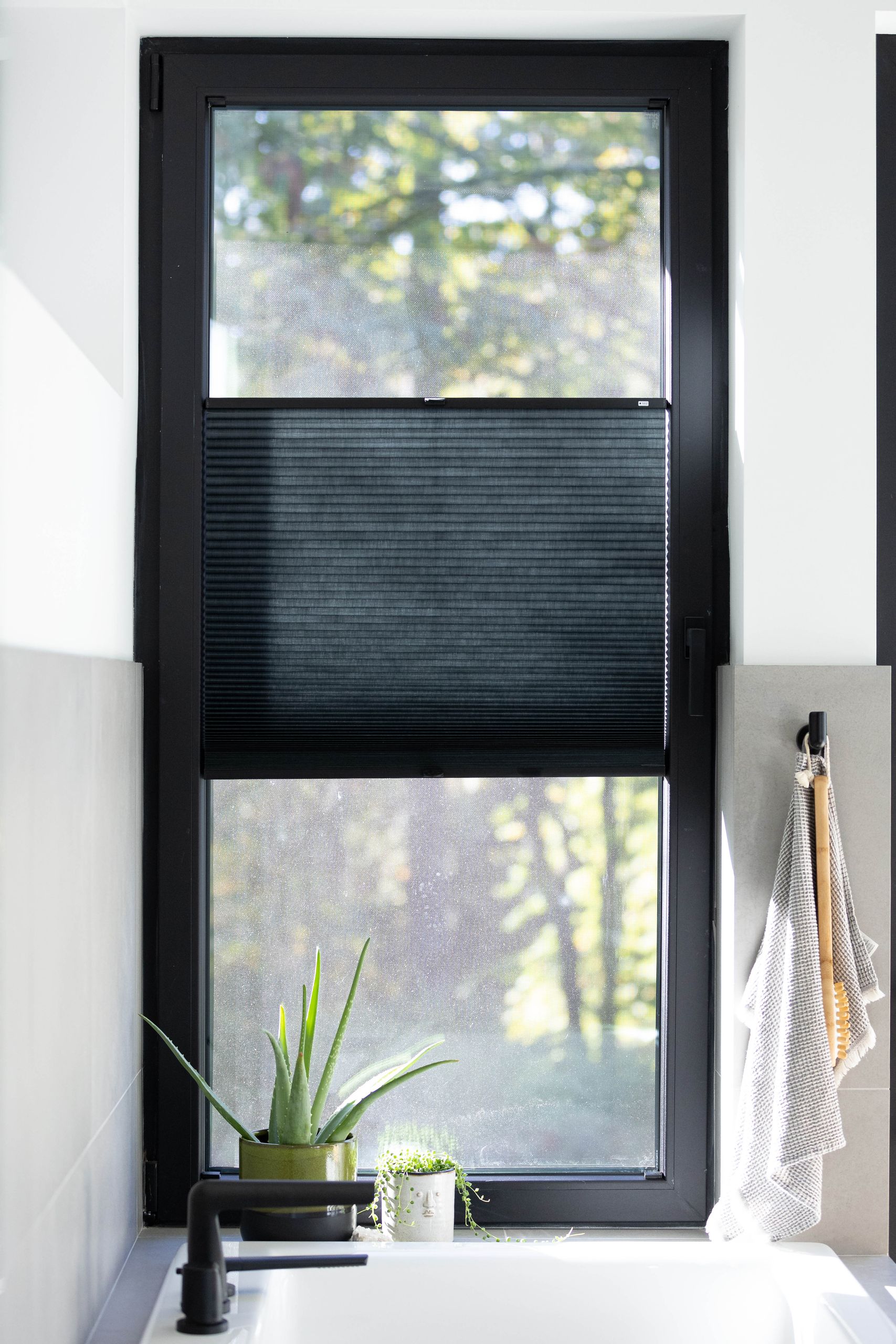 Bathroom window with a top-down blind, aloe on the sill and a black tap below