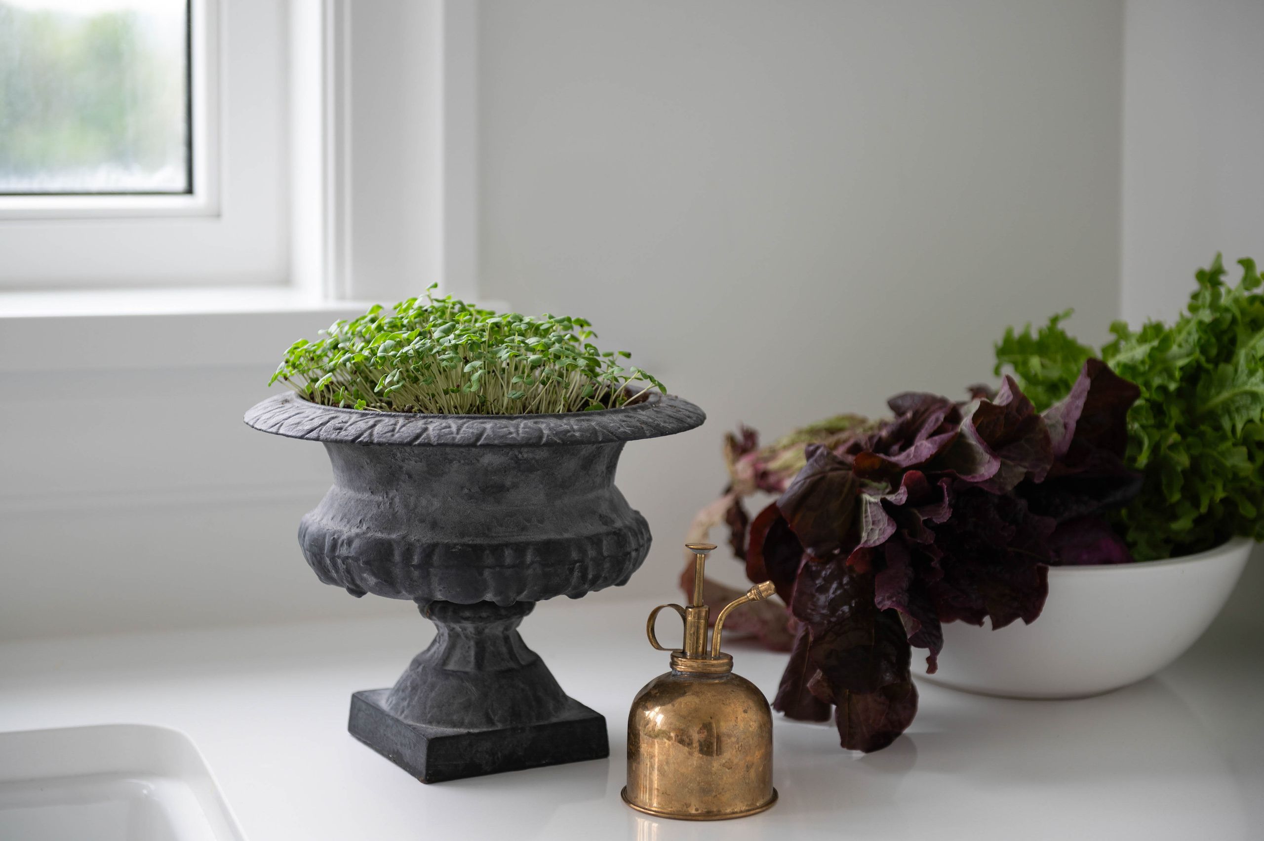 Cast urn of microgreens beside a brass mister and a bowl of garden lettuces
