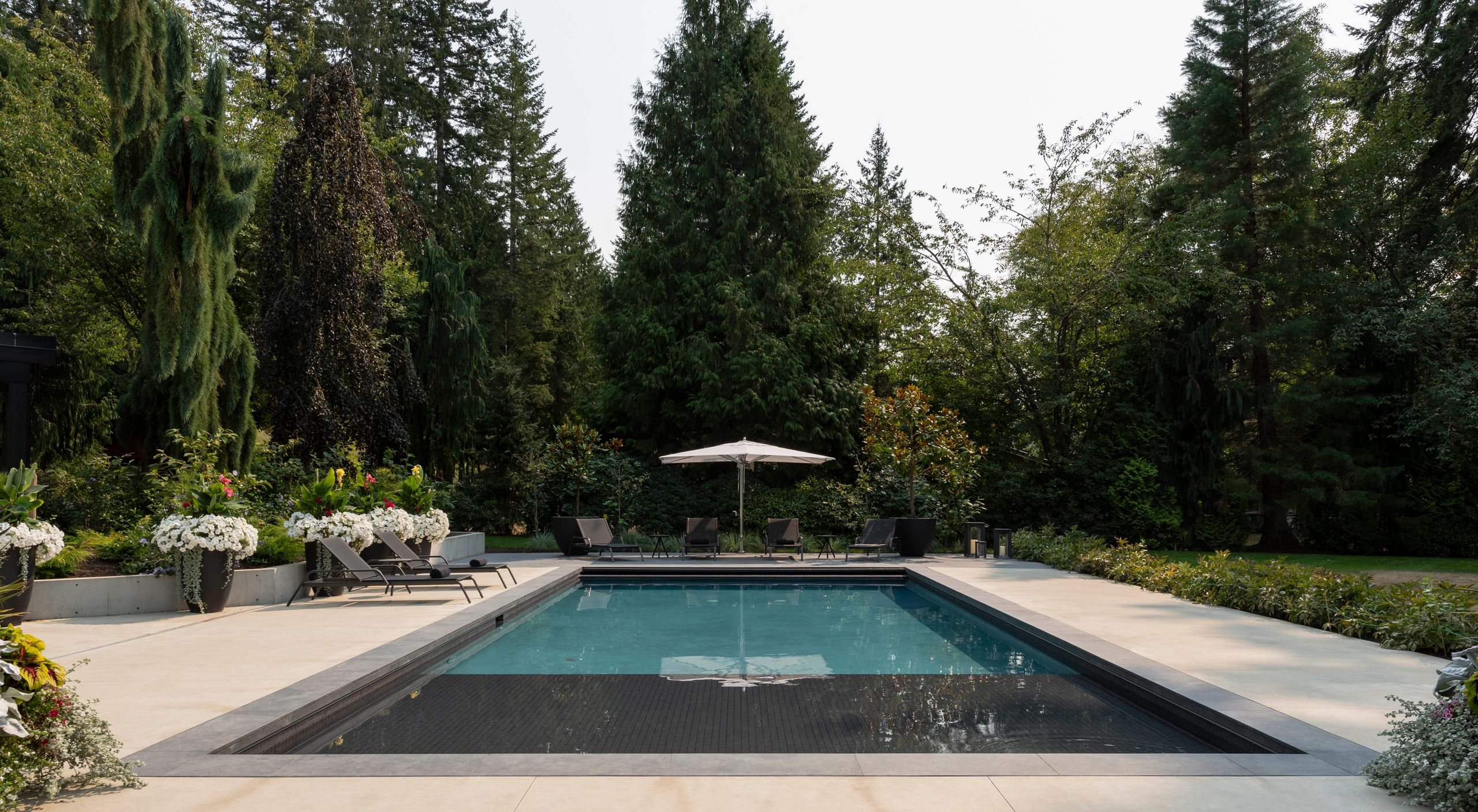 The pool by day, framed by cast planters of white hydrangea and tall conifers