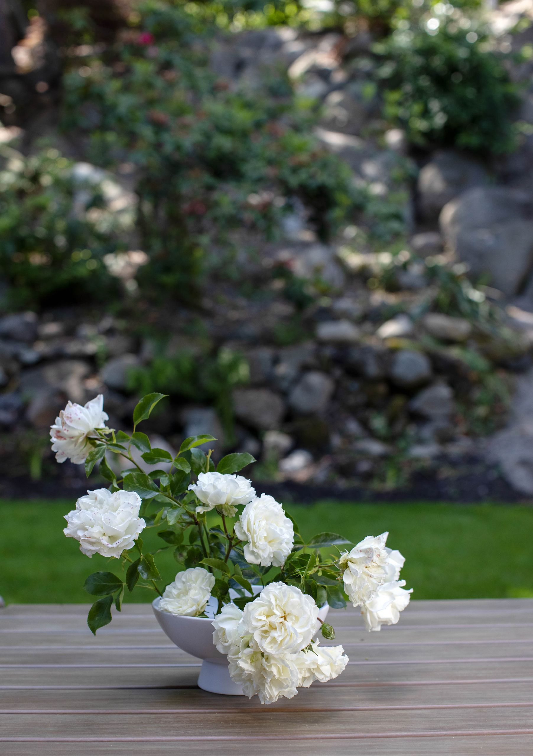 Footed bowl of white garden roses on the deck table